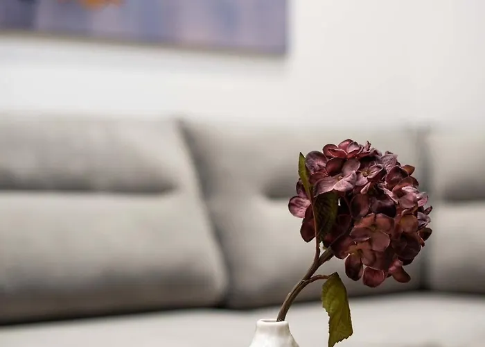 - Skanderbeg Square View Apartment *